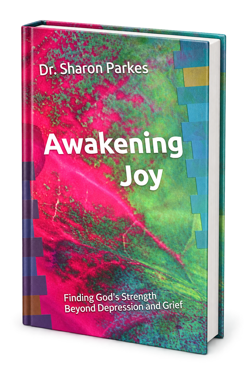 Awakening Joy 3D book cover